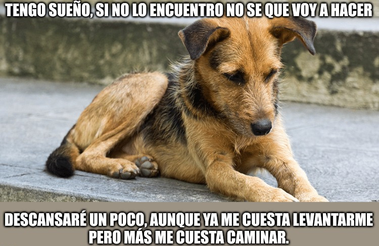 ...