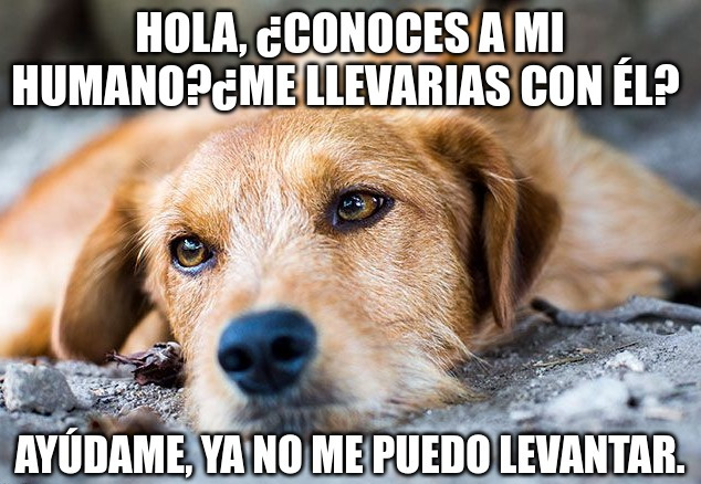 ...