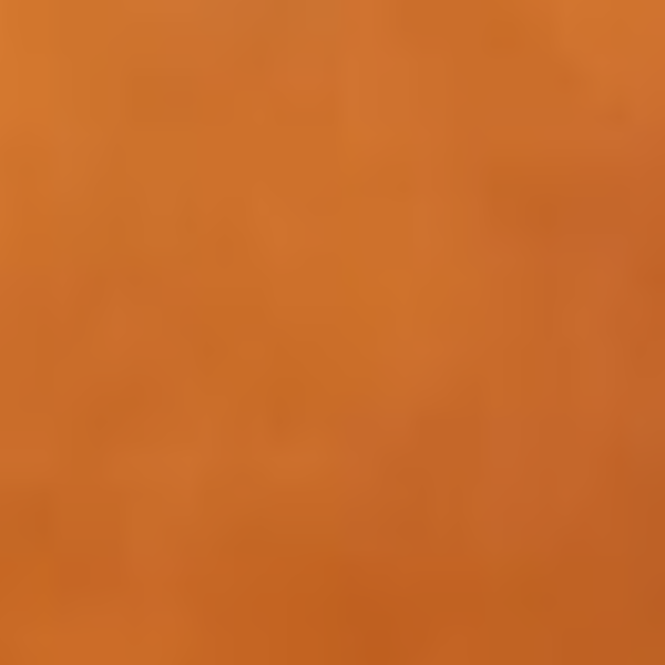 cartel de gato perdido