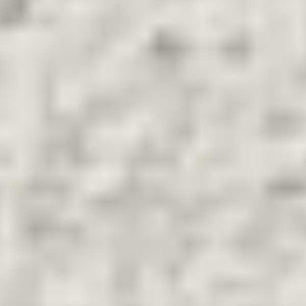 cartel de perro encontrado