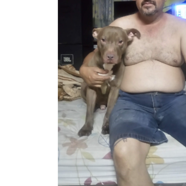 cartel de perro perdido