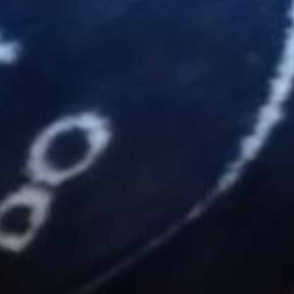 cartel de perro perdido