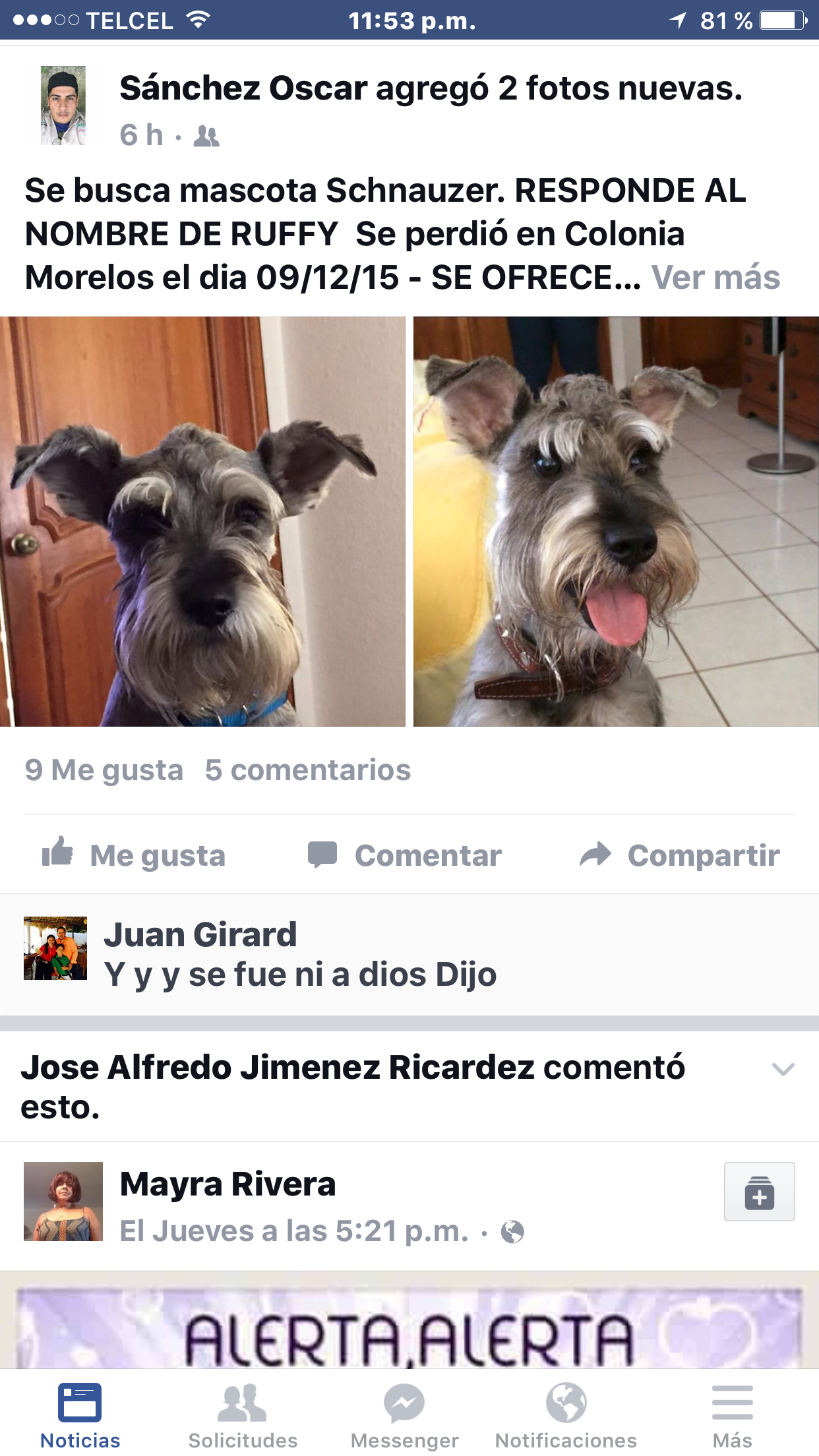 cartel de perro perdido