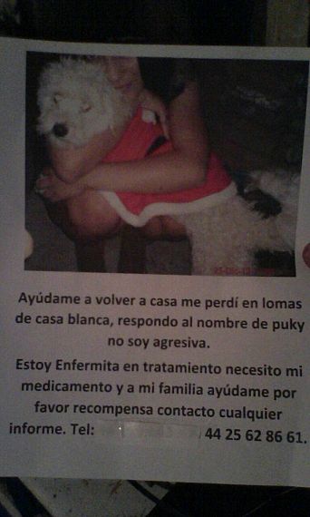 cartel de perro perdido