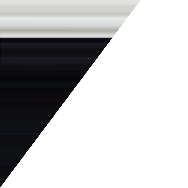 cartel de perro perdido