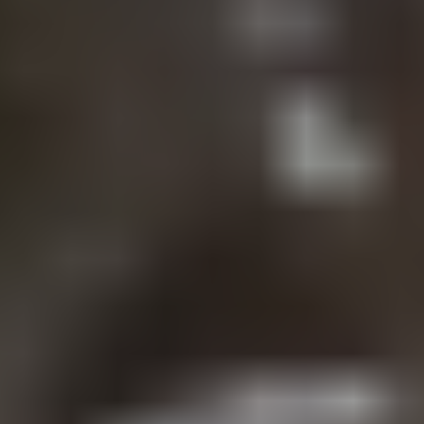 cartel de perro perdido